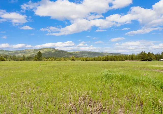 Photo 2 of Land for sale at 115 Marion Meadows Trl, Marion, MT 59925 | MLS# 30069207 | Listing updated on 2026-09-14