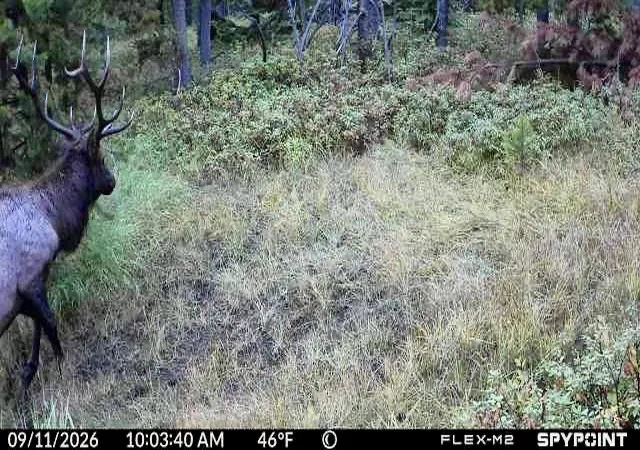 Photo 1 of Land for sale at 357 Ontario Dr, Elliston, MT 59728 | MLS# 30069519 | Listing updated on 2026-09-23