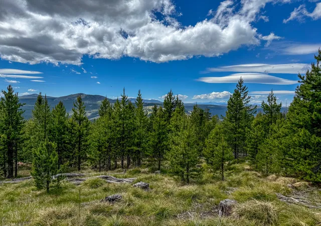 Photo 5 of Land for sale at 357 Ontario Dr, Elliston, MT 59728 | MLS# 30069519 | Listing updated on 2026-08-31