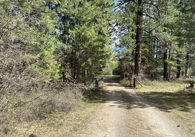 Photo 2 of Single family home for sale at 3349 Mt Hwy 200, Trout Creek, MT 59874 | MLS# 30068418 | Listing updated on 2026-09-19