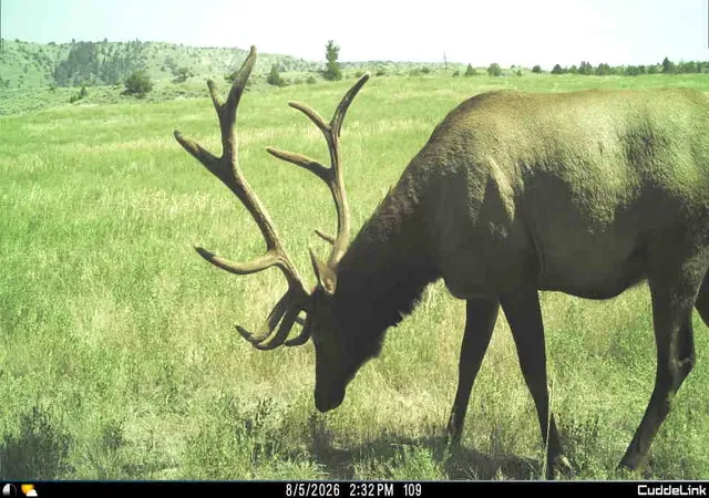 Photo 3 of Land for sale at 1847 Maudlow Rd, Belgrade, MT 59714 | MLS# 30069621 | Listing updated on 2026-08-31