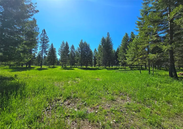 Photo 1 of Land for sale at 19 Faro Ln, Trout Creek, MT 59874 | MLS# 30069672 | Listing updated on 2026-09-14