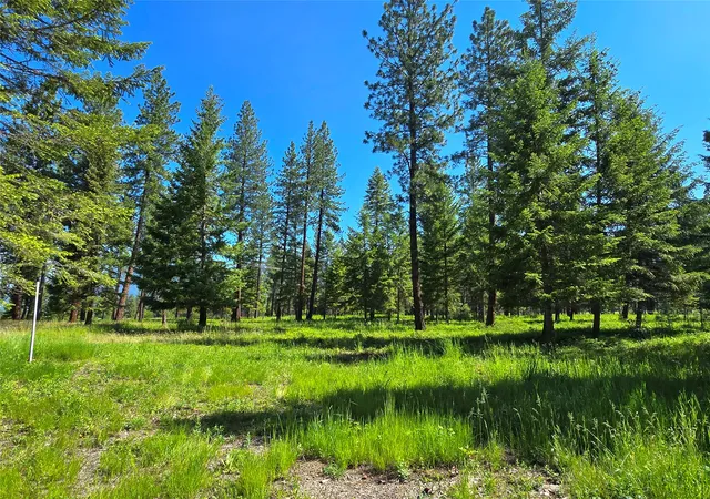 Photo 3 of Land for sale at 19 Faro Ln, Trout Creek, MT 59874 | MLS# 30069672 | Listing updated on 2026-09-14