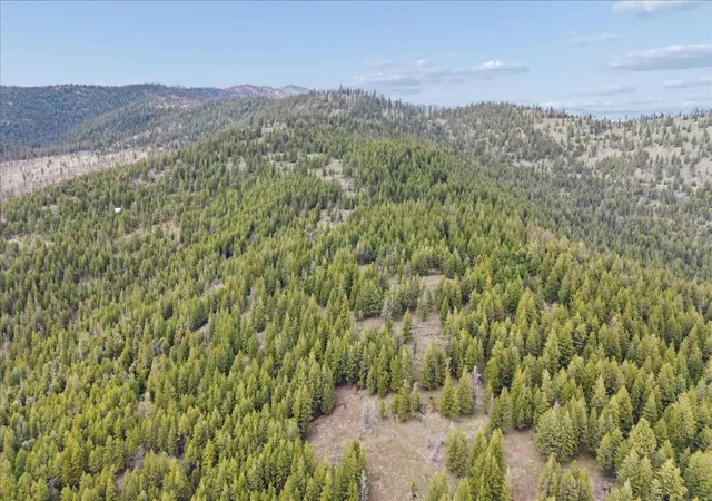 Photo 4 of Land for sale at Nhn Dower Draw, Kila, MT 59920 | MLS# 30069688 | Listing updated on 2026-09-15
