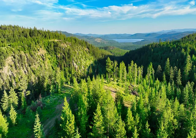 Photo 3 of Land for sale at Nhn Little Bitterroot Overlook, Marion, MT 59925 | MLS# 30069545 | Listing updated on 2026-09-17