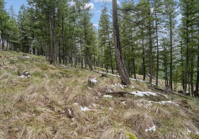 Photo 2 of Land for sale at Nhn Elk Ranch Rd, Kila, MT 59920 | MLS# 30070165 | Listing updated on 2026-09-02