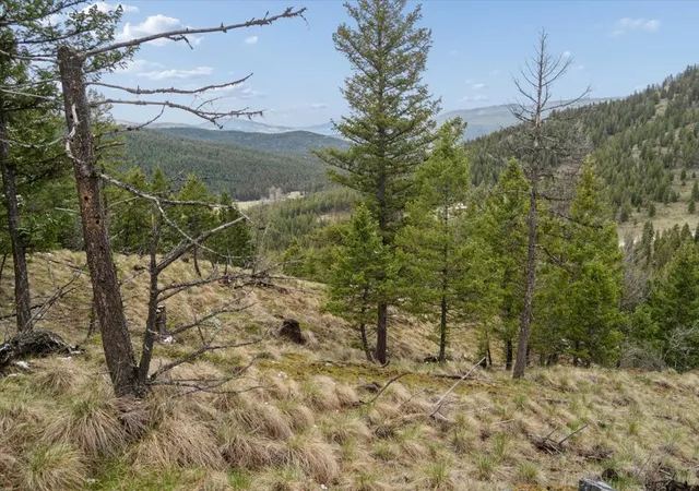 Photo 3 of Land for sale at Nhn Elk Ranch Rd, Kila, MT 59920 | MLS# 30070165 | Listing updated on 2026-09-02