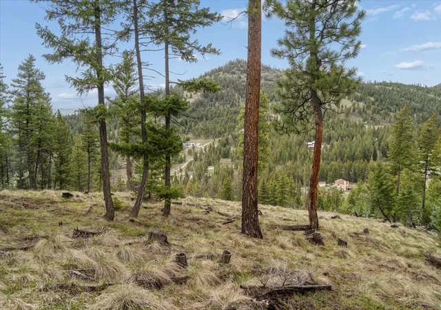 Photo 4 of Land for sale at Nhn Elk Ranch Rd, Kila, MT 59920 | MLS# 30070165 | Listing updated on 2026-09-02