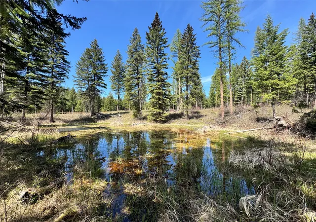 Photo 3 of Land for sale at 991 Sawmill Ln, Kalispell, MT 59901 | MLS# 30069920 | Listing updated on 2026-09-13