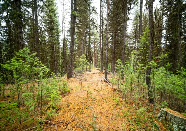 Photo 1 of Land for sale at 1875 Lower Lost Prairie Rd, Marion, MT 59925 | MLS# 30070327 | Listing updated on 2026-09-14