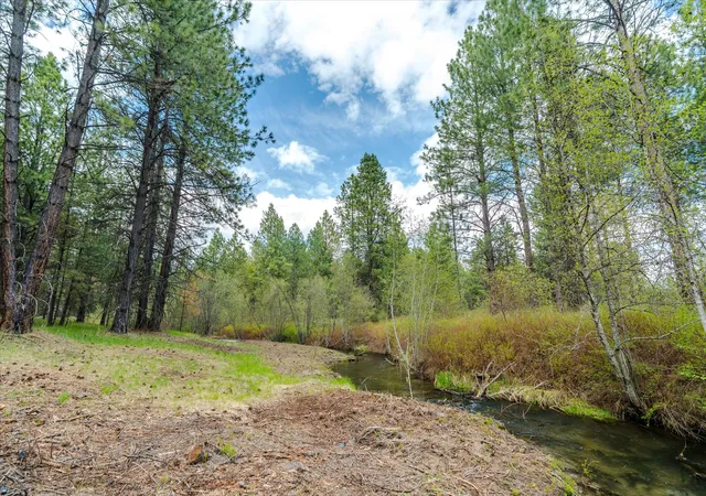 Photo 3 of Land for sale at Tbd Hines Rd, Yaak, MT 59935 | MLS# 30070511 | Listing updated on 2026-09-02