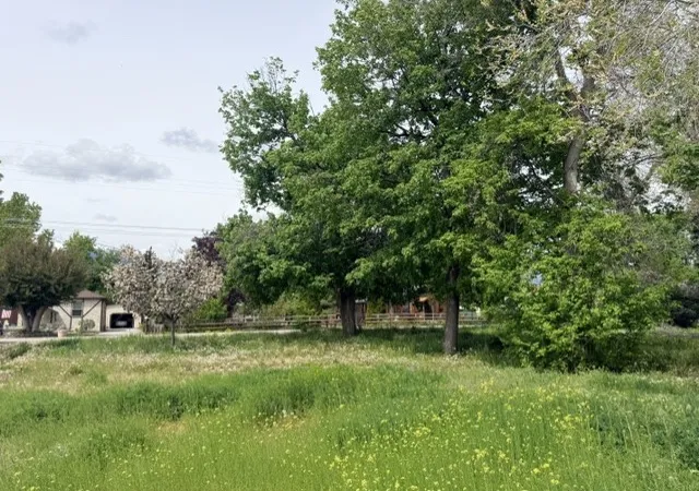 Photo 3 of Land for sale at 240 Daly Ave, Hamilton, MT 59840 | MLS# 30070567 | Listing updated on 2026-09-05