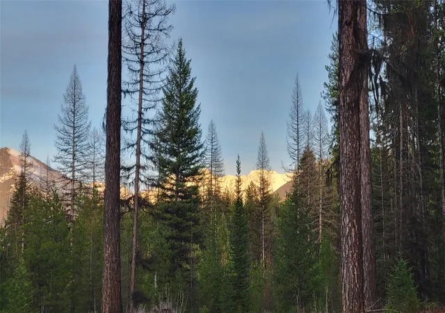 Land for sale at 34477 Shay Lake Rd, Bigfork, MT 59911 | MLS# 30067787