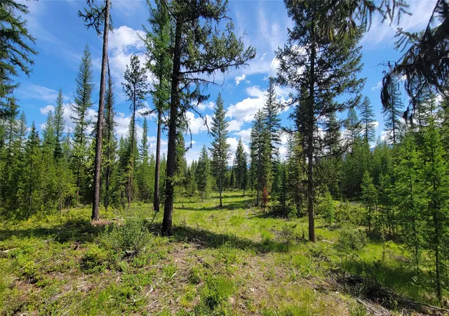 Photo 2 of Land for sale at 34477 Shay Lake Rd, Bigfork, MT 59911 | MLS# 30067787 | Listing updated on 2026-09-20