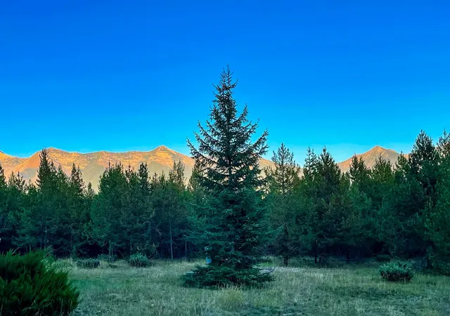 Photo 32 of Single family home for sale at 4825 Scenic Dr, Condon, MT 59826 | MLS# 30071031 | Listing updated on 2026-09-03