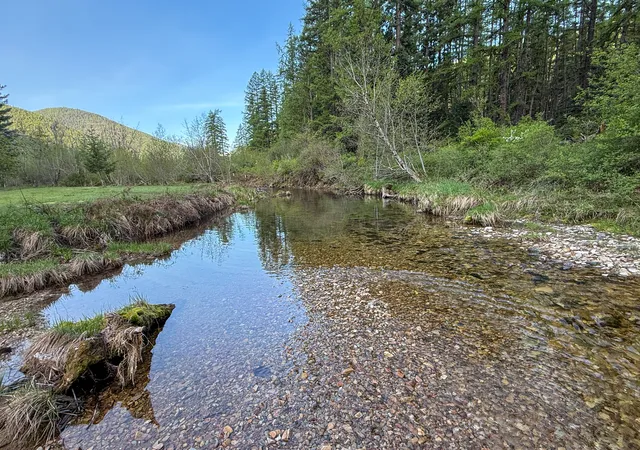 Single family home for sale at 168 Hope Valley Rd, Trout Creek, MT 59874 | MLS# 30070392
