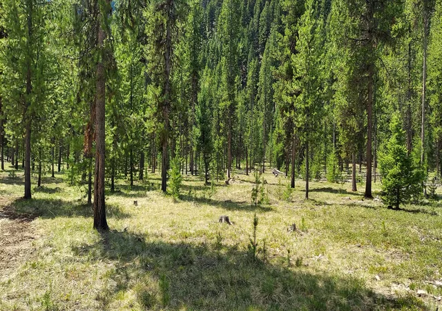 Photo 2 of Land for sale at Nhn (parcel D) Deer Walk Way, Darby, MT 59829 | MLS# 30071275 | Listing updated on 2026-09-14