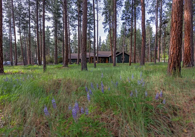 Photo 3 of Single family home for sale at 123 Mountain Goat Rd, Hamilton, MT 59840 | MLS# 30071218 | Listing updated on 2026-09-14