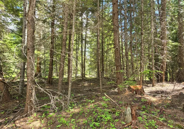 Photo 1 of Land for sale at Lot A 4 Elk Hts Ln, Heron, MT 59844 | MLS# 30071501 | Listing updated on 2026-09-21