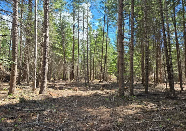 Photo 2 of Land for sale at Lot A 4 Elk Hts Ln, Heron, MT 59844 | MLS# 30071501 | Listing updated on 2026-09-21