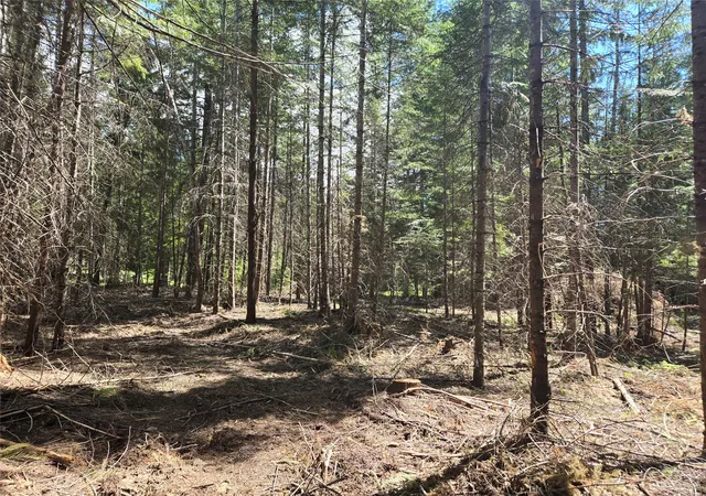Photo 3 of Land for sale at Lot A 4 Elk Hts Ln, Heron, MT 59844 | MLS# 30071501 | Listing updated on 2026-09-21