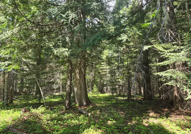 Photo 1 of Land for sale at Lot A 1 Elk Hts Ln, Heron, MT 59844 | MLS# 30071502 | Listing updated on 2026-09-21