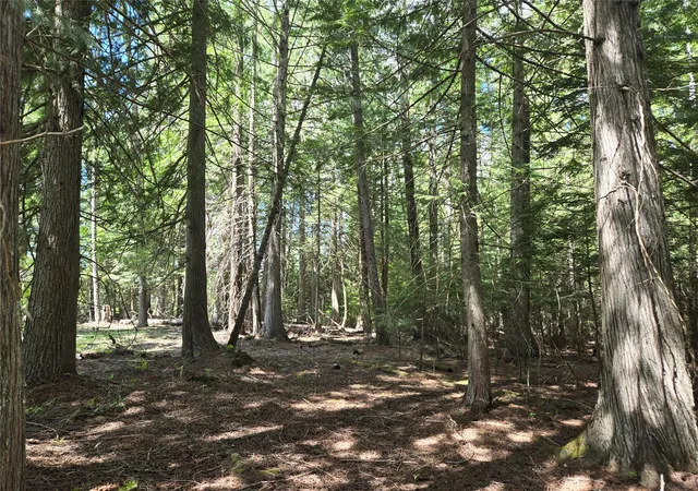 Photo 2 of Land for sale at Lot A 1 Elk Hts Ln, Heron, MT 59844 | MLS# 30071502 | Listing updated on 2026-09-21