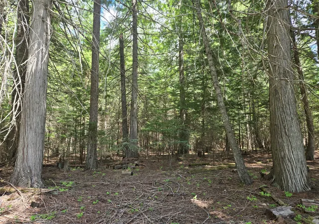 Photo 3 of Land for sale at Lot A 1 Elk Hts Ln, Heron, MT 59844 | MLS# 30071502 | Listing updated on 2026-09-21