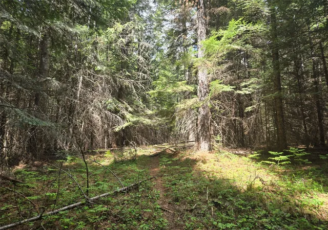 Photo 1 of Land for sale at Lot A 2 Elk Hts Ln, Heron, MT 59844 | MLS# 30071505 | Listing updated on 2026-09-21