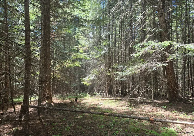 Photo 2 of Land for sale at Lot A 2 Elk Hts Ln, Heron, MT 59844 | MLS# 30071505 | Listing updated on 2026-09-21