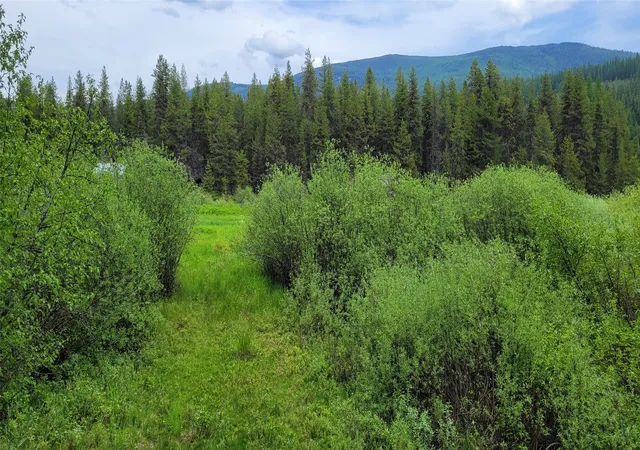 Photo 2 of Land for sale at Nhn N Frk Yaak Rd, Troy, MT 59935 | MLS# 30067994 | Listing updated on 2026-09-14
