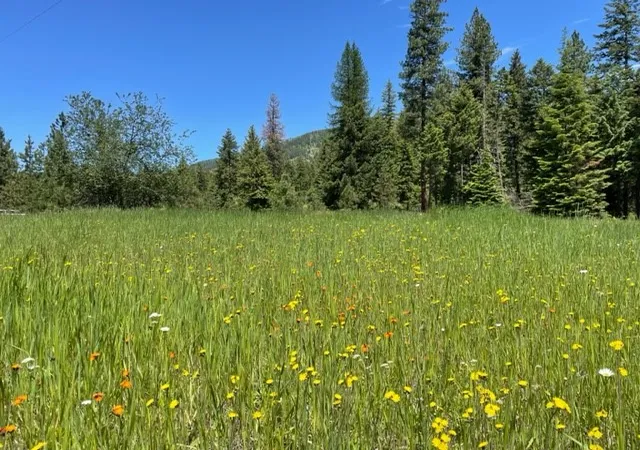 Photo 2 of Land for sale at No Address Green Mountain Rd, Trout Creek, MT 59874 | MLS# 30071866 | Listing updated on 2026-09-16