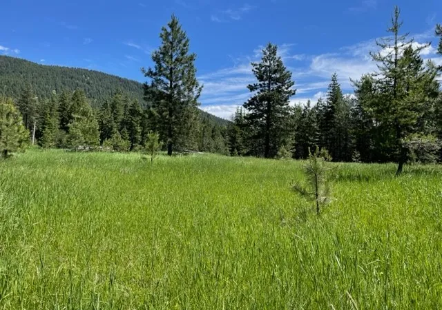 Photo 3 of Land for sale at No Address Green Mountain Rd, Trout Creek, MT 59874 | MLS# 30071866 | Listing updated on 2026-09-16