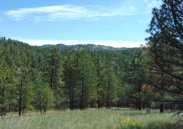 Photo 1 of Land for sale at 19 Lookout Ln, Cascade, MT 59421 | MLS# 30071854 | Listing updated on 2026-09-14