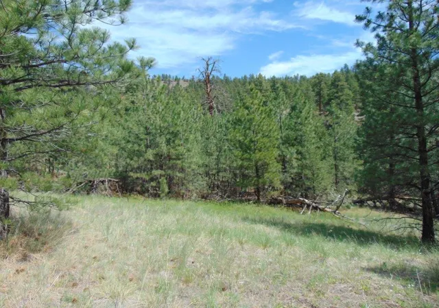 Photo 2 of Land for sale at 19 Lookout Ln, Cascade, MT 59421 | MLS# 30071854 | Listing updated on 2026-09-14