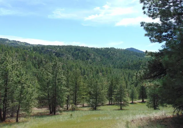 Photo 3 of Land for sale at 19 Lookout Ln, Cascade, MT 59421 | MLS# 30071854 | Listing updated on 2026-09-14