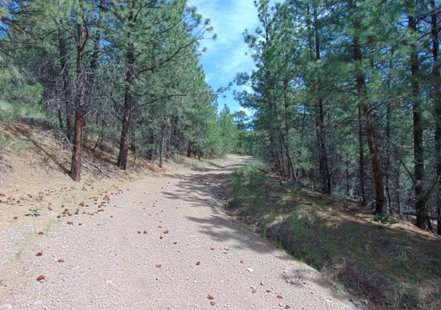 Photo 3 of Land for sale at 19 Lookout Ln, Cascade, MT 59421 | MLS# 30071854 | Listing updated on 2026-09-14