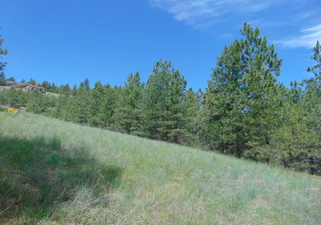 Photo 4 of Land for sale at 19 Lookout Ln, Cascade, MT 59421 | MLS# 30071854 | Listing updated on 2026-09-14