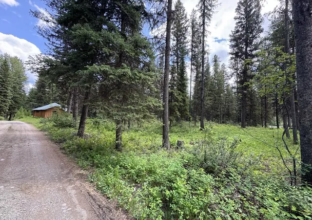 Photo 3 of Land for sale at 768 Deep Woods Trl, Polebridge, MT 59928 | MLS# 30072001 | Listing updated on 2026-09-14