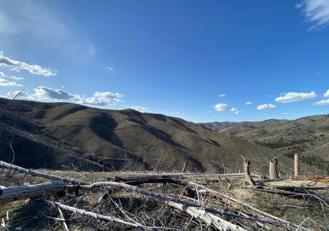 Photo 1 of Land for sale at -- Highway 93 S, Conner, MT 59827 | MLS# 30072219 | Listing updated on 2026-09-18