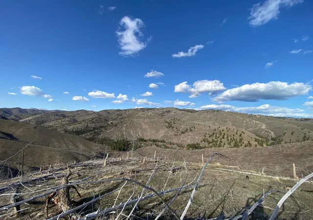 Photo 2 of Land for sale at -- Highway 93 S, Conner, MT 59827 | MLS# 30072219 | Listing updated on 2026-09-18