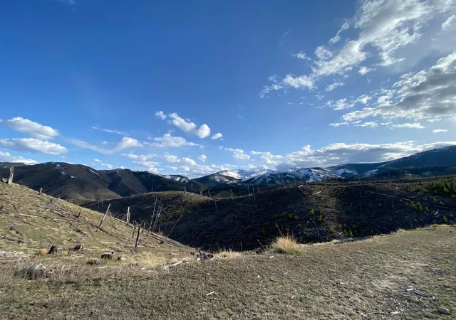 Photo 4 of Land for sale at -- Highway 93 S, Conner, MT 59827 | MLS# 30072219 | Listing updated on 2026-09-18