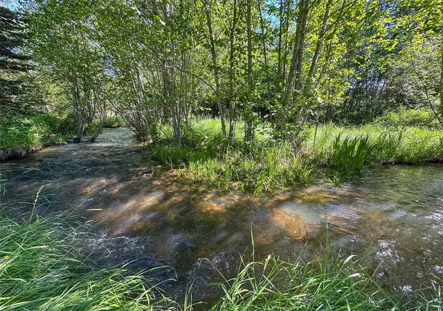 Photo 4 of Single family home for sale at 34 Baldy View Ln, Plains, MT 59859 | MLS# 30070168 | Listing updated on 2026-08-31