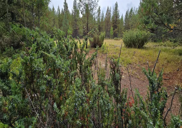 Land for sale at Tbd Yaak River Rd, Troy, MT 59935 | MLS# 30072527