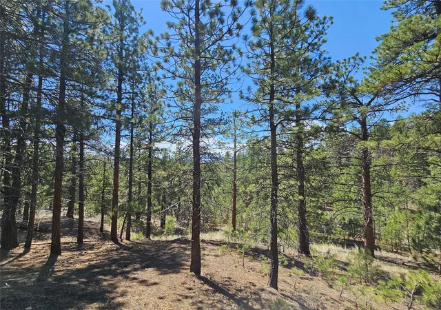 Photo 1 of Land for sale at Nhn Upper Sawmill Crk Rd, Cascade, MT 59421 | MLS# 30072536 | Listing updated on 2026-09-23