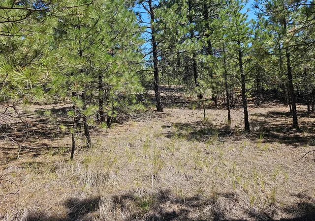 Photo 3 of Land for sale at Nhn Upper Sawmill Crk Rd, Cascade, MT 59421 | MLS# 30072536 | Listing updated on 2026-09-23