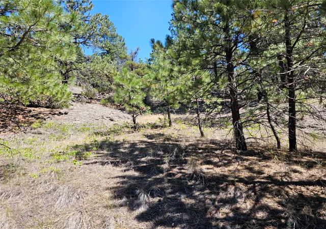 Photo 3 of Land for sale at Nhn Upper Sawmill Crk Rd, Cascade, MT 59421 | MLS# 30072536 | Listing updated on 2026-09-23