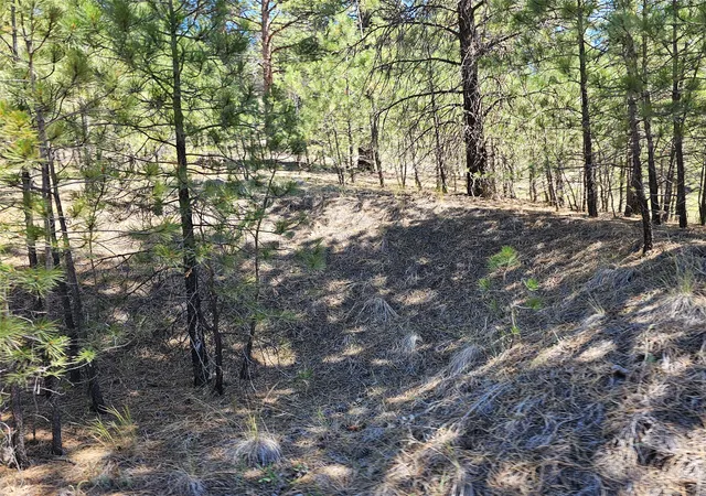 Photo 4 of Land for sale at Nhn Upper Sawmill Crk Rd, Cascade, MT 59421 | MLS# 30072536 | Listing updated on 2026-09-23