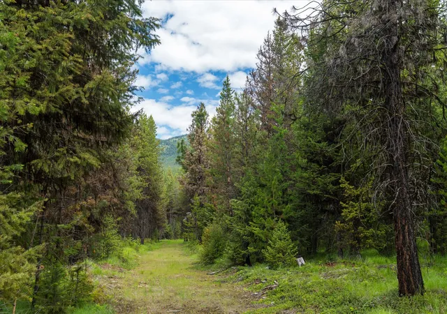 Photo 4 of Land for sale at 58 Loon Connector Rd, Libby, MT 59923 | MLS# 30072592 | Listing updated on 2026-09-18