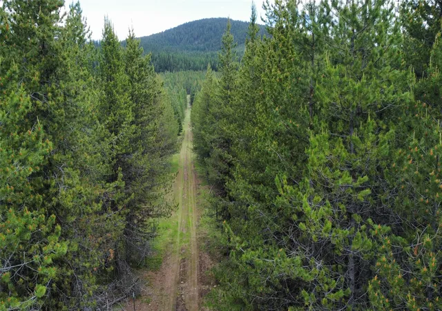 Land for sale at 28341 Yaak River Rd, Troy, MT 59935 | MLS# 30072736